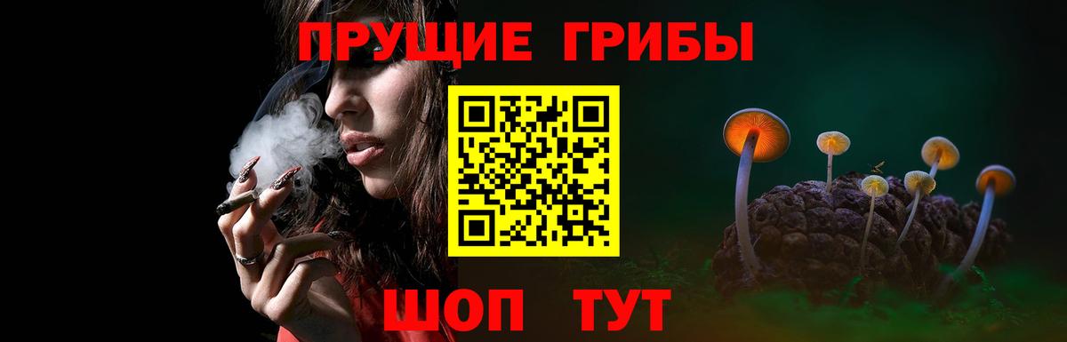 Псилоцибиновые грибы ЛСД  Вход с VPN  купить закладку  Санкт-Петербург  Галлюциногенные грибы Psilocybe 